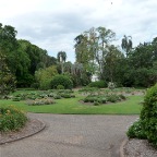  Brisbane Botanical Garden