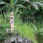 in the rainforest (Costa Verde) 08