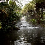 Tabacon Hot Springs (Costa Rica) 10