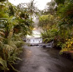 Tabacon Hot Springs (Costa Rica) 04