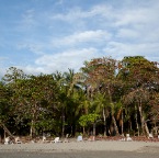 Playa Manuel Antonio (Costa Rica) 38