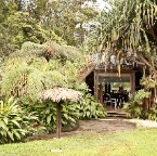 Tabacon Hot Springs (Costa Rica) 42