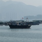 Hongkong Fischfarm - 2