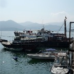 Hongkong Fischfarm - 3